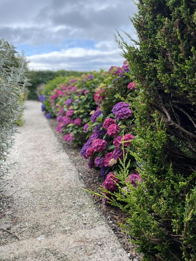Galloway Farmstay Claunch نيوتن ستيوارت المظهر الخارجي الصورة