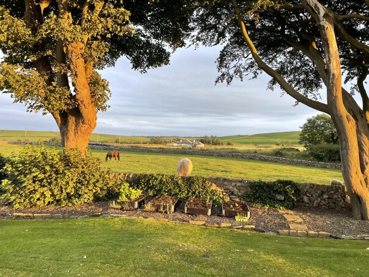 Galloway Farmstay Claunch نيوتن ستيوارت المظهر الخارجي الصورة